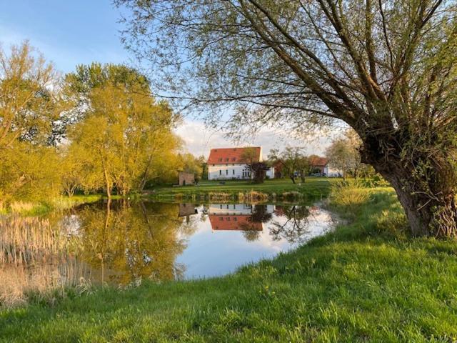 Traumhaftes Luxus-Ferienhaus Warnkenhagen  Экстерьер фото